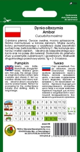 Dynia olbrzymia Ambar opakowanie 5g