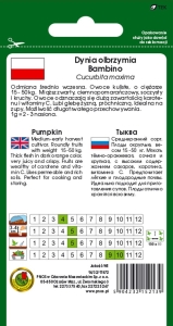 DYNIA OLBRZYMIA BAMBINO 5g