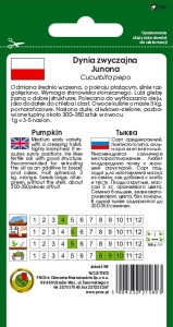 Dynia zwyczajna bezłupinowa Junona opakowanie 5g