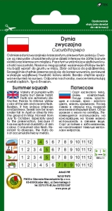 Dynia zwyczajna patison Orange opakowanie 1g