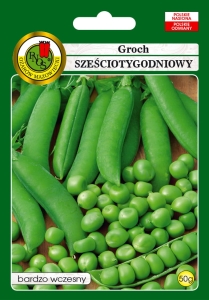 GROCH ŁUSKOWY SZEŚCIOTYGODNIOWY kg