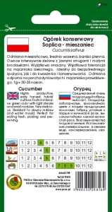 OGÓREK GRUNTOWY SOPLICA F1.jpg