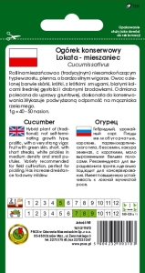 OGÓREK GRUNTOWY LOKATA F1