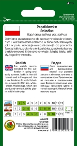 RZODKIEWKA ŚNIEŻKA 10g