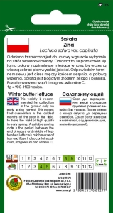 Sałata głowiasta masłowa Zina opakowanie 1g