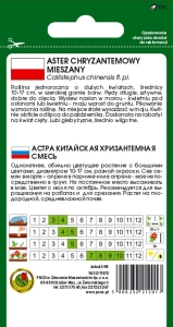 aster chryzantemowy mix