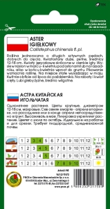 aster igiełkowy różowy