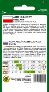 aster igiełkowy mieszany