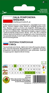 DALIA POMPONOWA MIESZANA 0,5g