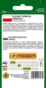 KLEOME CIERNISTA MIESZANA 0,5g