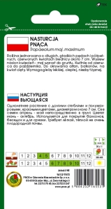 Nasturcja pnąca scharlachglanz czerwona 2g