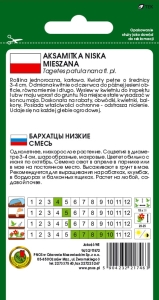 aksamitka niska mieszana