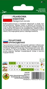 Pelargonia rabatowa F1 BIAŁA 10z