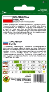 Brachykoma nasiona PNOS opakowanie 0,3g