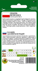 SZAŁWIA BŁYSZCZĄCA RÓŻOWA 0,5g