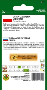 DYNIA OZDOBNA TURECKI TURBAN MIESZANA 2g