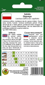 SAŁATA GŁOWIASTA MASŁOWA DIPPEGO 1g