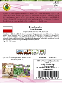 rzodkiewka karminowa-OW-1059-16-INKR-tyl