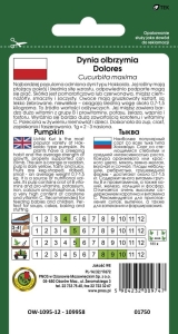 DYNIA OLBRZYMIA DOLORES 5g
