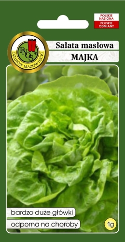 Nasiona PNOS - Sałata masłowa Majka