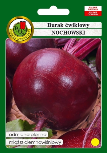 Nasiona PNOS - Burak ćwikłowy Nochowski