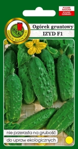 Ogórek gruntowy Izyd F1 50g