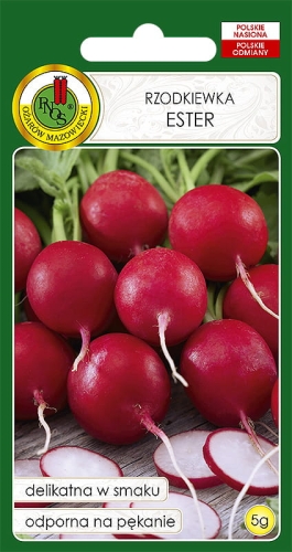 RZODKIEWKA ESTER 5g - nasiona PNOS