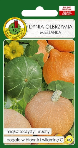 Nasiona warzyw PNOS-Mieszanki odmian-Nasiona dyni olbrzymiej