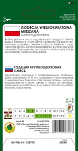 Godecja WIELKOKWIATOWA mieszana pnos