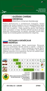 Goździk Hedwiga Baby Doll mieszanka kolorów opakowanie 1g