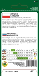 Złocień KARŁOWY BIAŁY nasiona pnos