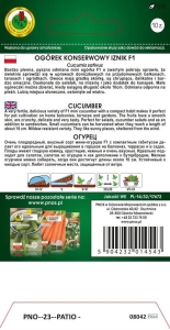 Ogórek IZNIK F1 10z