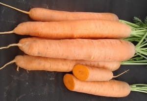 Nasiona profesjonalne - Marchew Afalon F1 100 000 nasion