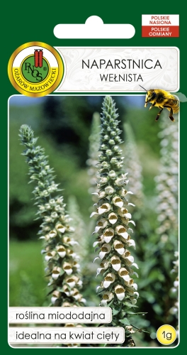 Nasiona PNOS-nasiona kwiatów