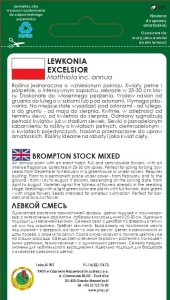 Lewkonia Excelsior mieszana PNOS