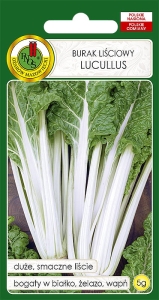Nasiona PNOS - burak liściowy Lucullus