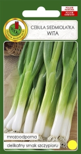 Nasiona PNOS - cebula wita.jpg