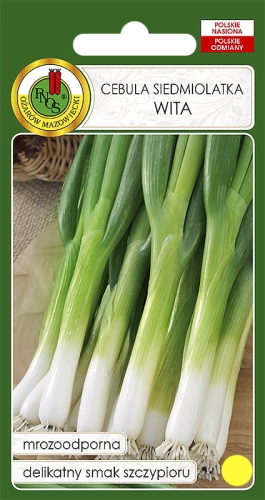 Nasiona PNOS - cebula wita.jpg