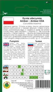 Nasiona dyni olbrzymiej Ambar 5g