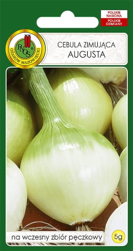 Nasiona cebuli - Cebula zimująca Augusta 5g