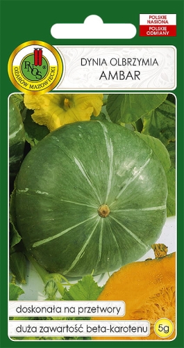 Nasiona dyni - Dynia olbrzymia Ambar  5g