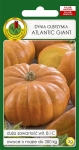 Dynia olbrzymia ATLANTIC GIANT 3g