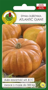 Nasiona dyni Pnos - Dynia Atlantic Giant 3g