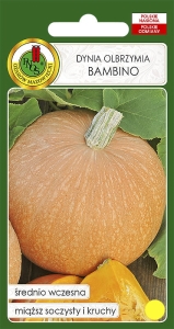 Nasiona PNOS - Dynia olbrzymia Bambino 5kg