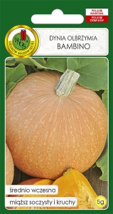 Nasiona PNOS - Dynia Bambino 5g