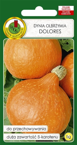 Nasiona Pnos - Dynia olbrzymia Dolores