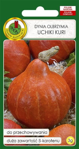 Nasiona Pnos - Dynia hokkaido Uchiki Kuri 3g