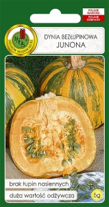 Nasiona dyni bezłupinowej - Dynia bezłupinowa Junona 5g