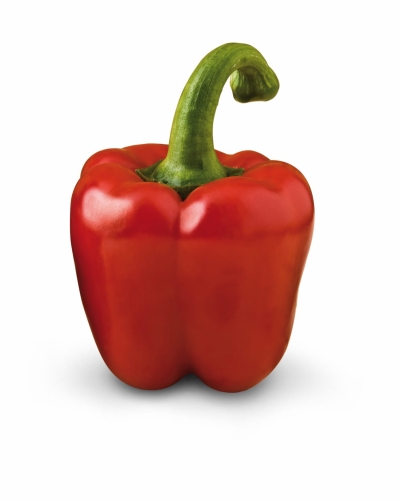 Papryka MARKO F1.jpg