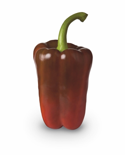 nasiona Papryka ALCUDIA F1